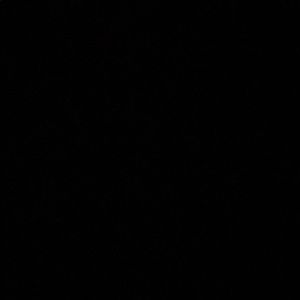 Meet your Posher, Miles